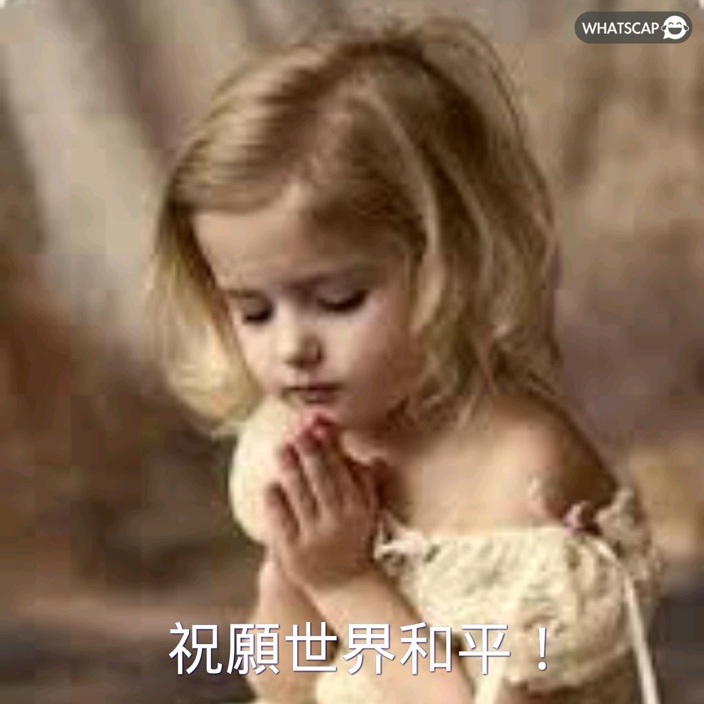 切尔西若连,克南安普顿,与莱斯特城,新葡京,新葡京app,新葡京娱乐,新普京赌场