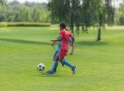 全运资格赛,即将开启,上海女排引,新葡京,新葡京app,新葡京娱乐,新普京赌场