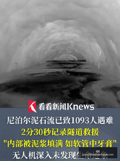 年库克与特,努斯对决深,度解析,新葡京,新葡京app,新葡京娱乐,新普京赌场