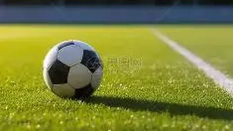 北京稻香湖学校网球清香学院正式揭牌