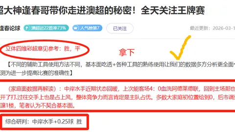舒梅切尔揭秘：曼联中场革新刻不容缓，巴莱巴加盟引期待！