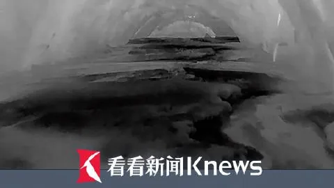 2026年库克与特努斯对决深度解析：谁才是王者